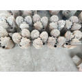 /msite/products/detail/productid/56531900/id/651630.html